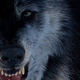 Image for article titled What is the most common nightmare?